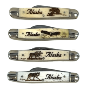 2.75" Scrimshaw Bone Handle 3 Blade Knife, Alaska Mint