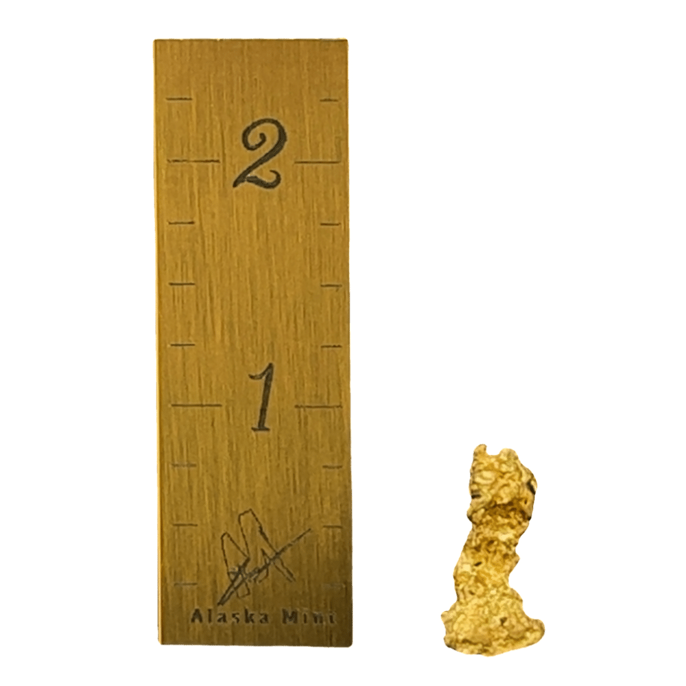 Alaskan Yukon BC Gold Nuggets 12 Mesh 1/4 Troy Oz 7.75 Grams or 5 DWT