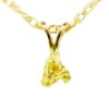 .3 DWT Alaskan Gold Nugget Pendant, Alaska Mint