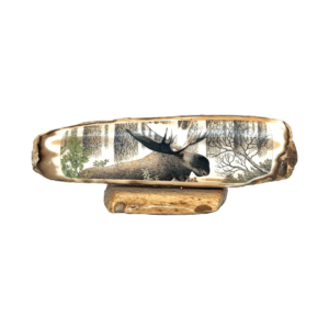 Fossil Ivory with Bull Moose Scrimshaw Artwork