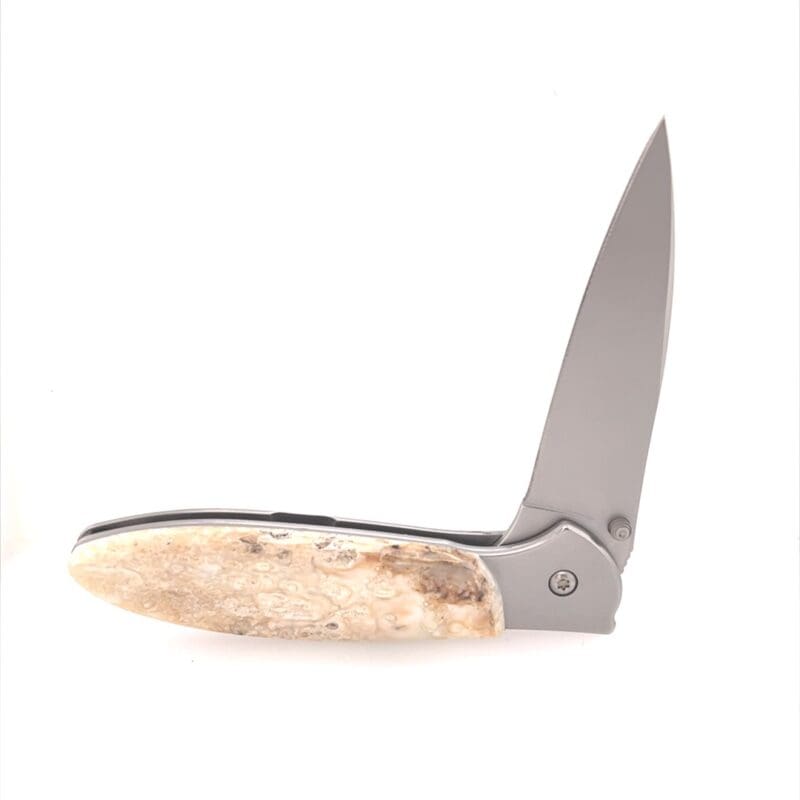 4" Fossilized Mammoth Ivory Kershaw Clip Style Pocket Knife, Alaska Mint