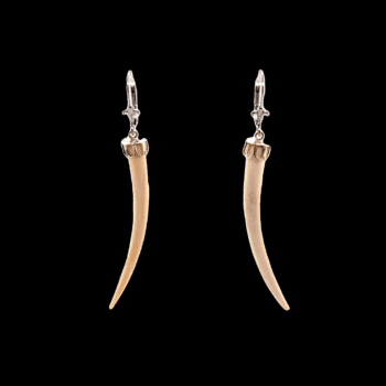 Ivory Claw Leverback Earrings