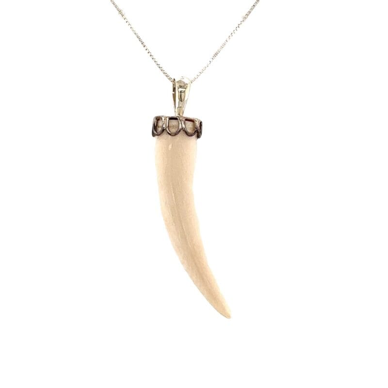 Ivory Bear Claw Pendant