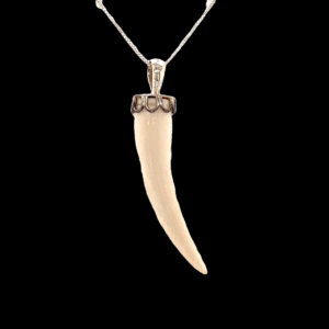 Ivory Bear Claw Pendant