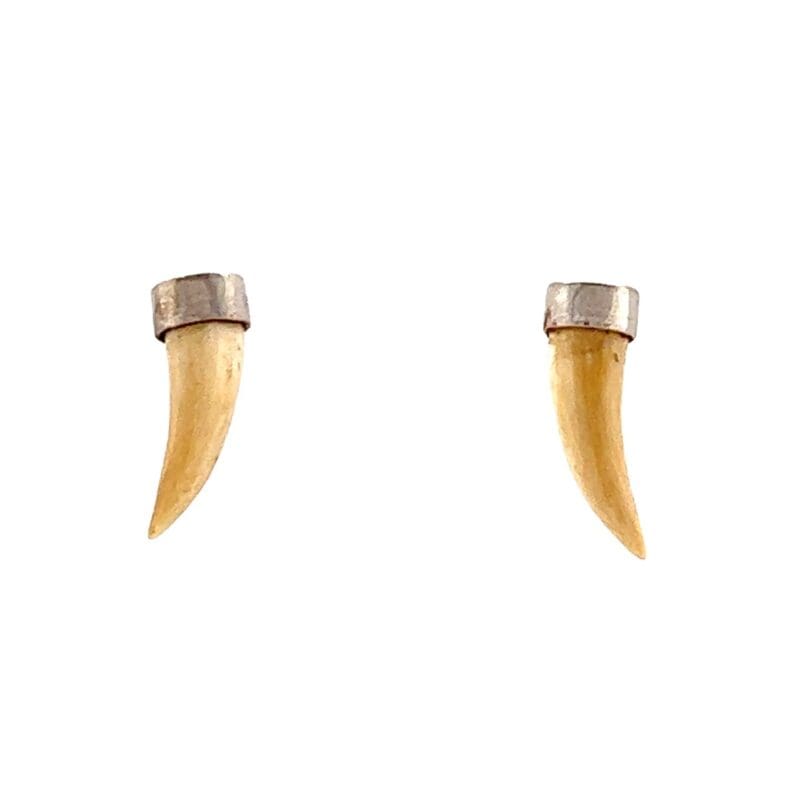 Ivory Bear Claw Post Earrings