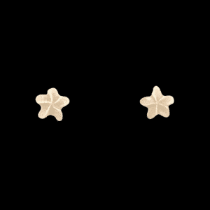Ivory Star Post Earrings