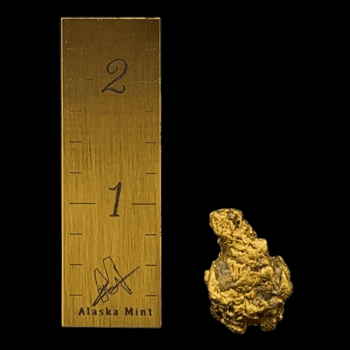 Natural Alaskan Gold Nugget 13.8
