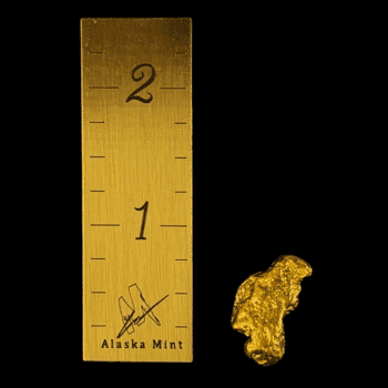 Natural Alaskan Gold Nugget 3.6 DWT