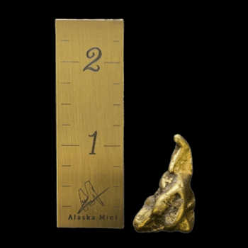 Raw gold nugget, Gold nugget, Alaska Mint, SNUG16.1