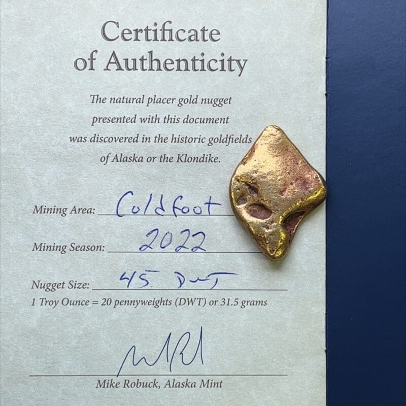 Raw gold nugget, Gold nugget, Alien, Certification, Alaska Mint, SNUG45.0