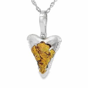 "Alaskan Sharks Tooth" in 18k White Gold, Alaska Mint