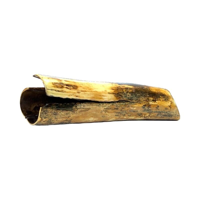 Mammoth Ivory, Alaska Mint, 999766 $500, About 12in long, 3x2in base