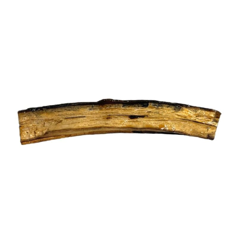 Mammoth Ivory, Alaska Mint, 073470 $250, about 10.5” X 2” @ widest