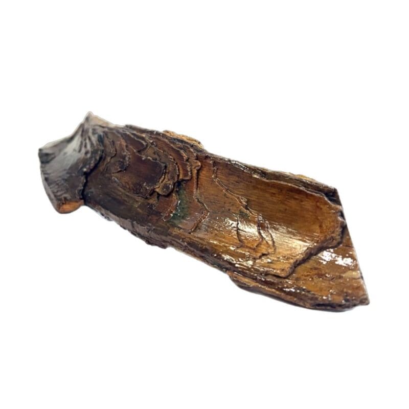 Mammoth Ivory, Alaska Mint, 073479 $345, about 13” x 2.5” @ widest