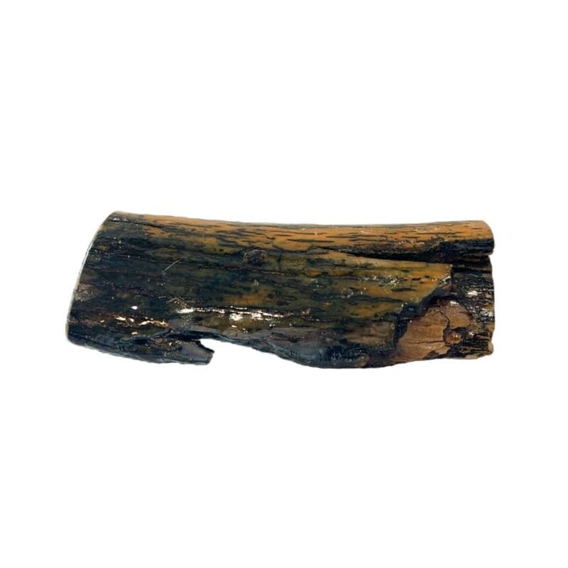 Mammoth Ivory, Alaska Mint, 073478 $195, about 5” x 3” x 1.5_6