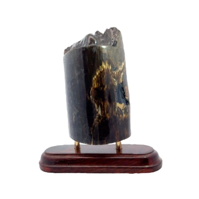 Mammoth Ivory, Alaska Mint, 073492 $1195, JU 3”