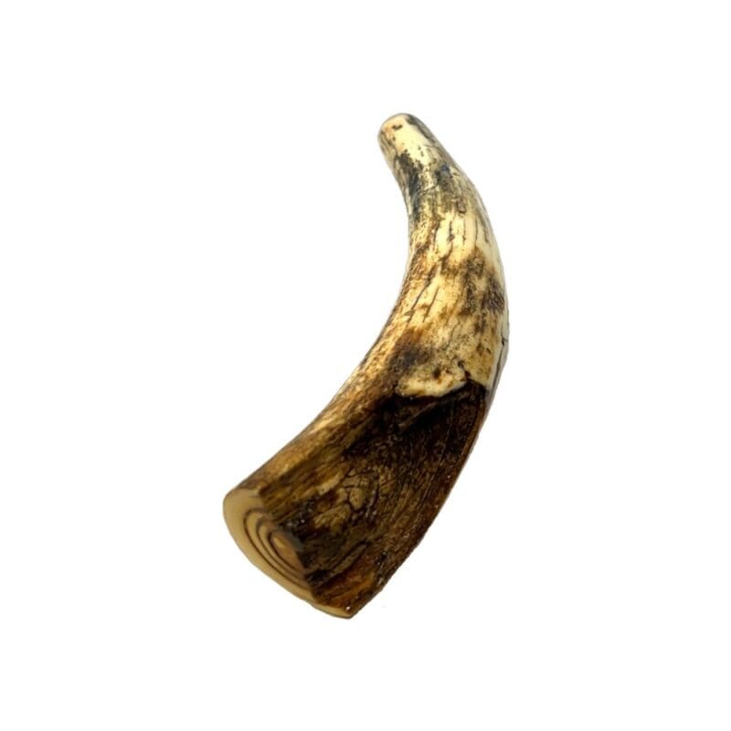 Mammoth Ivory, Alaska Mint, 999771 $650, Just under 11.5in long