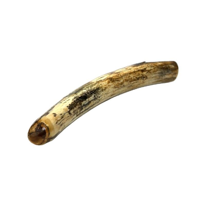 Mammoth Ivory, Alaska Mint, 999771 $650, Just under 11.5in long