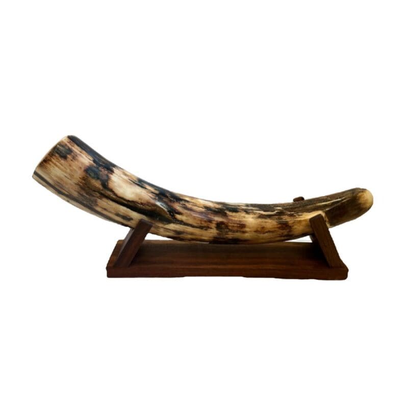 Mammoth Ivory, Alaska Mint, 999676 $8500, about 19" long, widest end 3" x 3.25", 7.25" tall with stand, stand is just under 14" x 3.5"