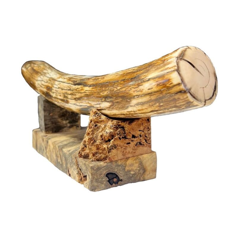 Mammoth Ivory, Alaska Mint, 999680 $3000