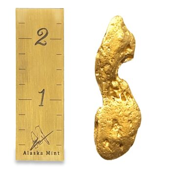 62.7 Gram Natural Gold Nugget Mined in Trapper Creek, Alaska Mint