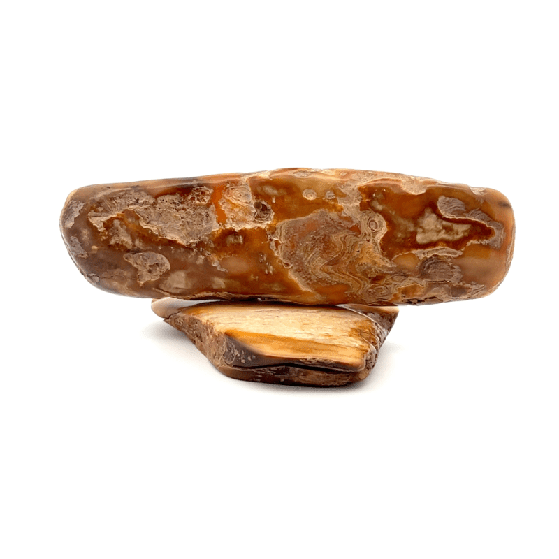 Bear Scrimshaw Fossilized Ivory, Alaska Mint