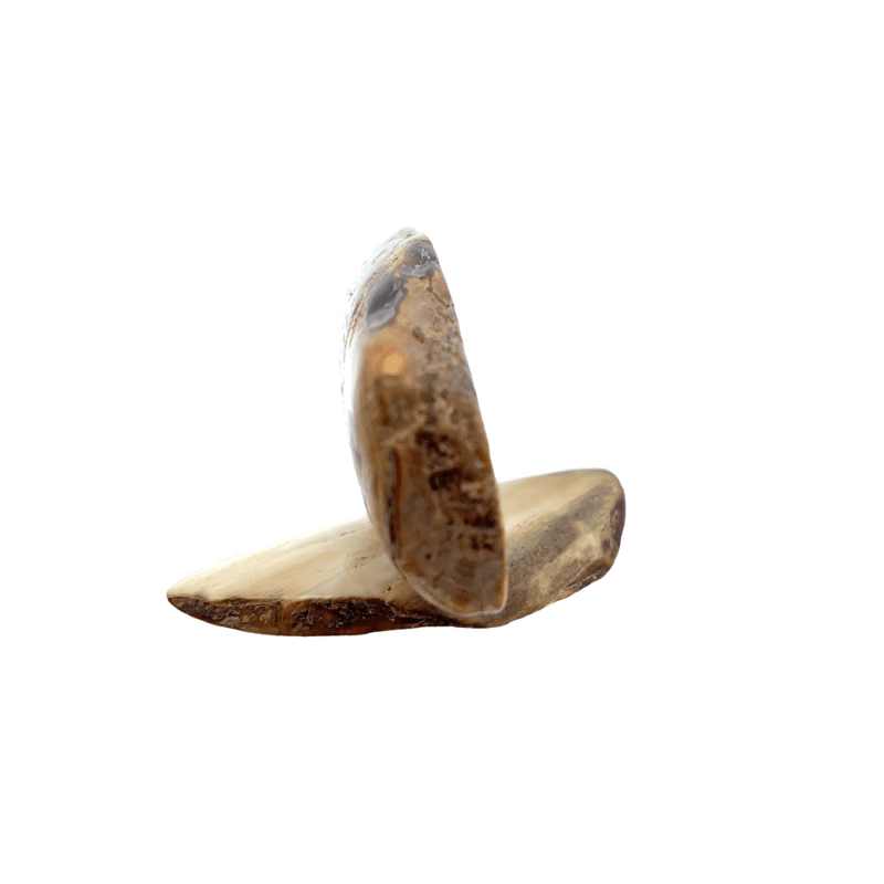 Howling Wolf Scrimshaw Artwork Fossil Ivory, Alaska Mint