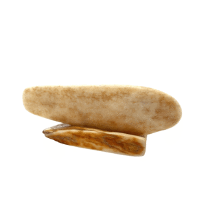 Brown Bear Scrimshaw Artwork Fossilized Ivory, Alaska Mint