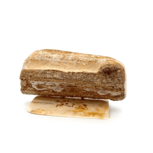 Fishing Bear Scrimshaw Fossilized Ivory, Alaska Mint