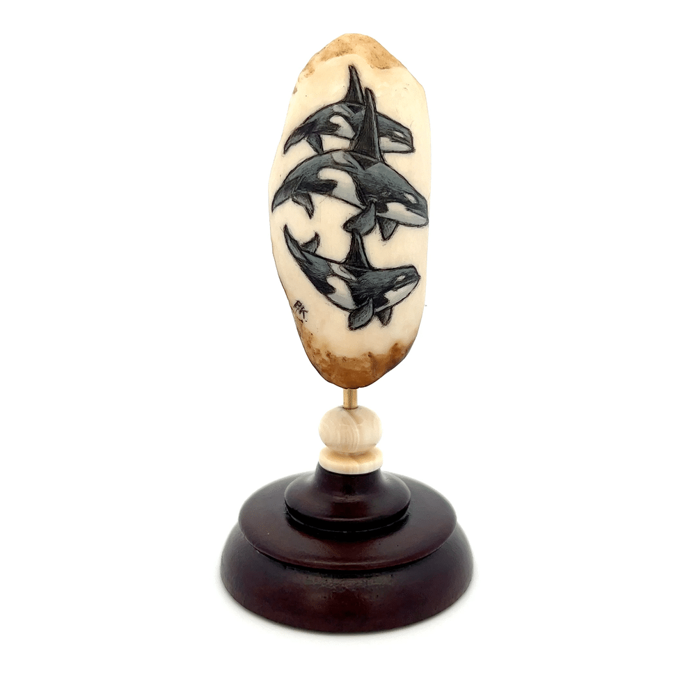 Three Orca Scrimshaw Fossilized Ivory, Alaska Mint