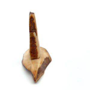 Scrimshaw Artwork Fossilized Ivory, Alaska Mint