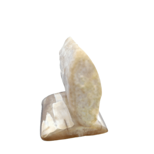 Scrimshaw Bear Artwork Fossilized Ivory, Alaska Mint