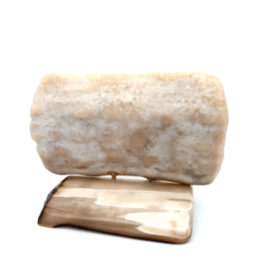 Scrimshaw Bear Artwork Fossilized Ivory, Alaska Mint