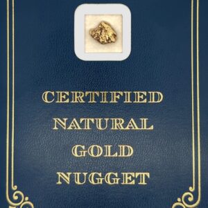2.9 Gram Natural Gold Nugget from Trapper Creek, Alaska