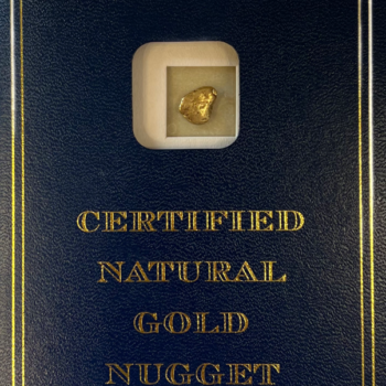 1.8 Natural Gold Nugget - B