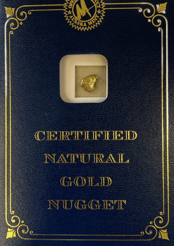 1.8 Natural Gold Nugget - B