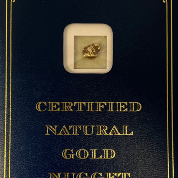 2.1 Gram Natural Gold Nugget - B