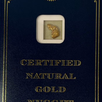 3.2 Gram Natural Gold Nugget