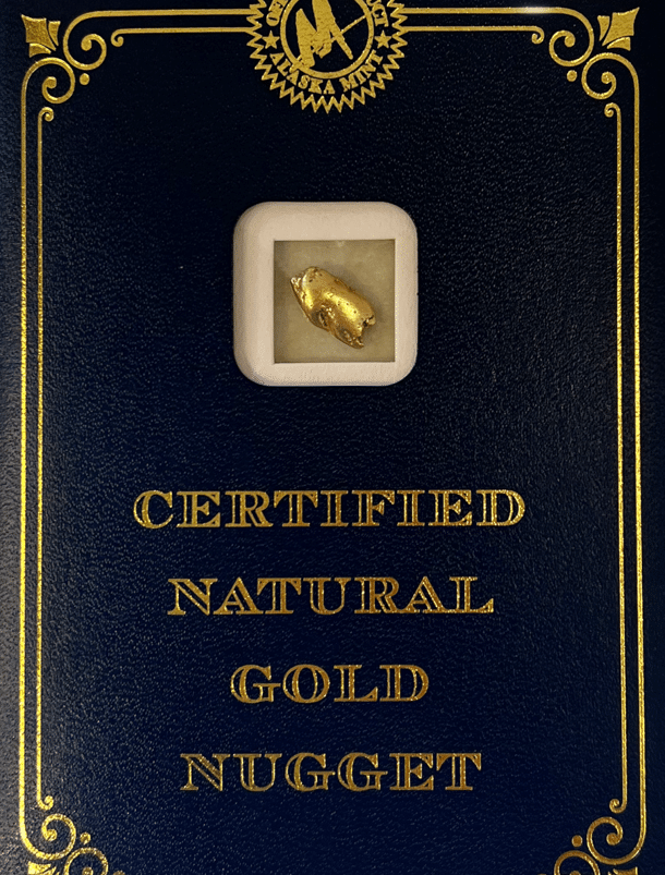 3.8 Gram Natural Gold Nugget