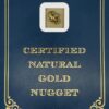 2.8 Gram Natural Gold Nugget from Porcupine Creek Alaska, Alaska Mint