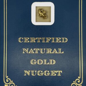 2.8 Gram Natural Gold Nugget from Porcupine Creek Alaska, Alaska Mint