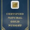3.1 Gram Natural Gold Nugget from Trapper Creek Alaska, Alaska Mint
