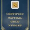 3.9 Gram Natural Gold Nugget from Chicken, Alaska, Alaska Mint