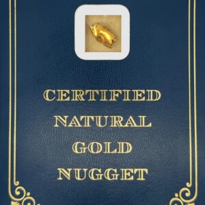 3.9 Gram Natural Gold Nugget from Chicken, Alaska, Alaska Mint