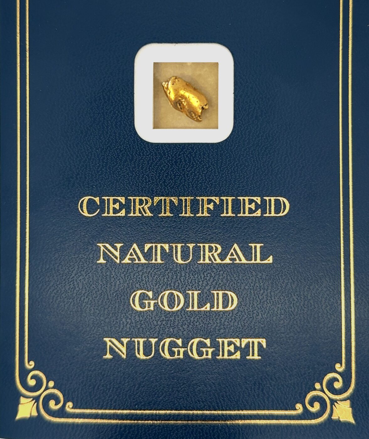 3.9 Gram Natural Gold Nugget from Chicken, Alaska, Alaska Mint