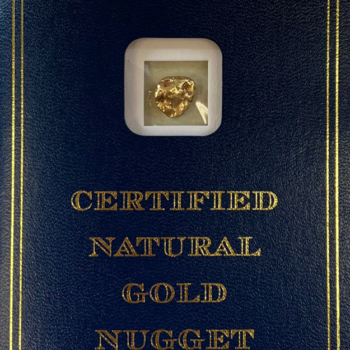 6.6 Gram Natural Gold Nugget, Alaska Mint