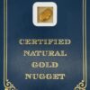 4.5 Gram Natural Gold Nugget from Trapper Creek Alaska, Alaska Mint