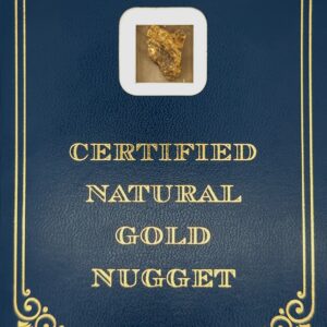 4.7 Gram Natural Gold Nugget from McGrath Alaska, Alaska Mint