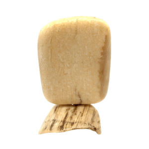 Fox Scrimshaw Artwork Fossil Ivory, Alaska Mint