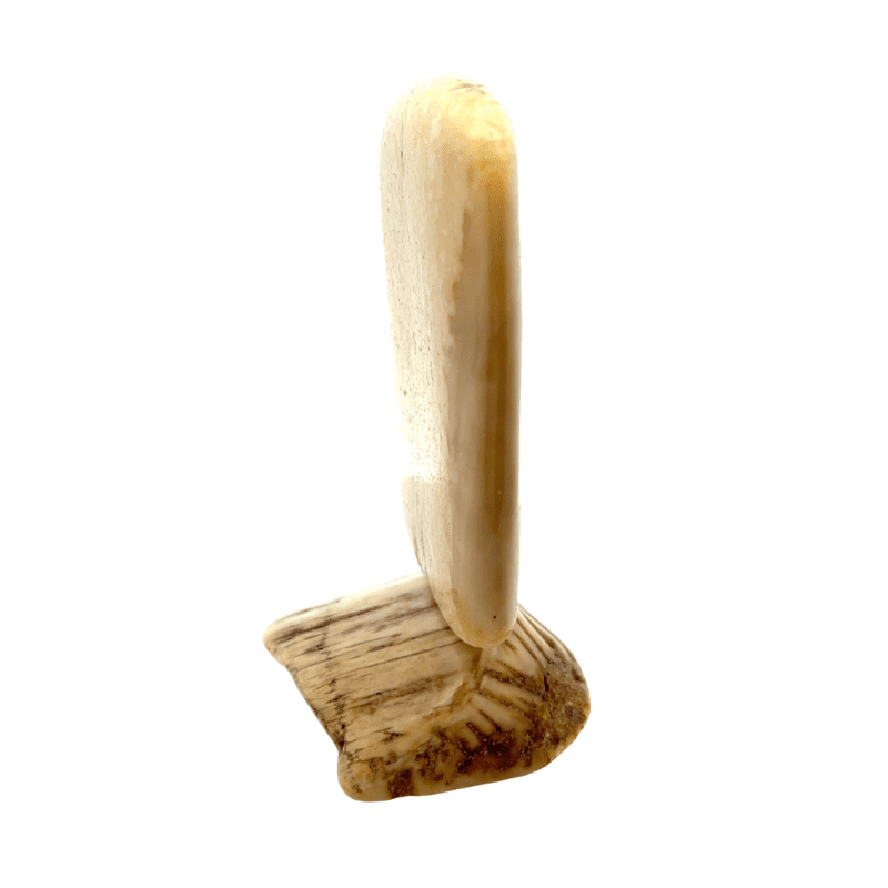 Fox Scrimshaw Artwork Fossil Ivory, Alaska Mint
